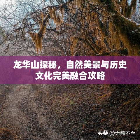 龙华山探秘,自然美景与历史文化完美融合攻略