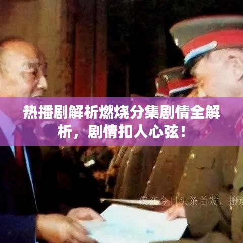 热播剧解析燃烧分集剧情全解析,剧情扣人心弦!