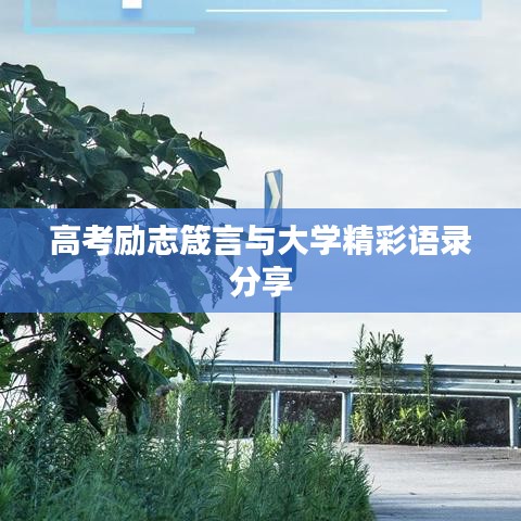 高考励志箴言与大学精彩语录分享