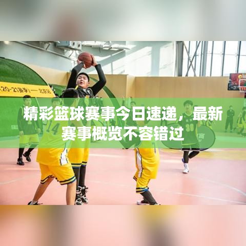精彩篮球赛事今日速递,最新赛事概览不容错过