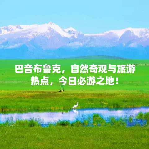 灰飞烟灭 第4页