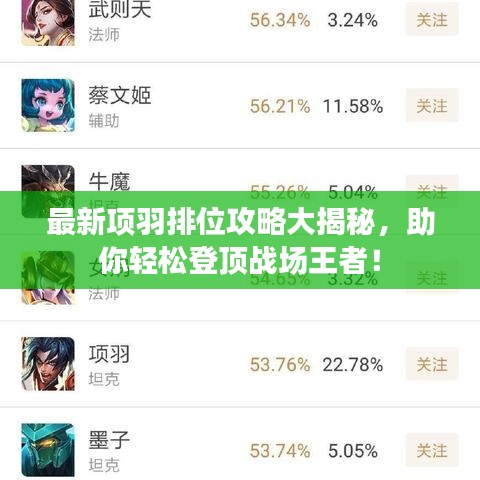 最新项羽排位攻略大揭秘,助你轻松登顶战场王者!