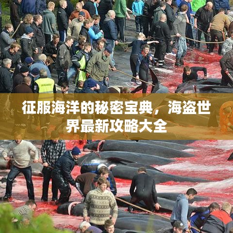 征服海洋的秘密宝典,海盗世界最新攻略大全