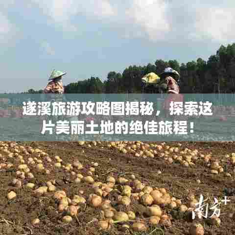 遂溪旅游攻略图揭秘,探索这片美丽土地的绝佳旅程!