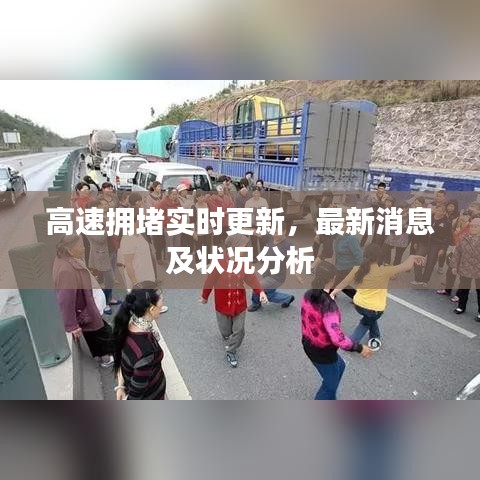 鸟栖虫居 第4页