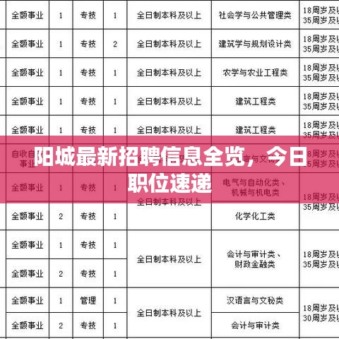 阳城最新招聘信息全览,今日职位速递