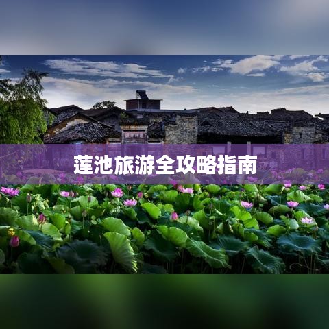 莲池旅游全攻略指南