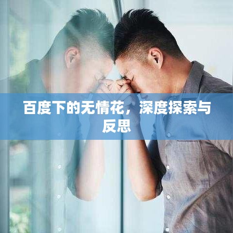 百度下的无情花，深度探索与反思