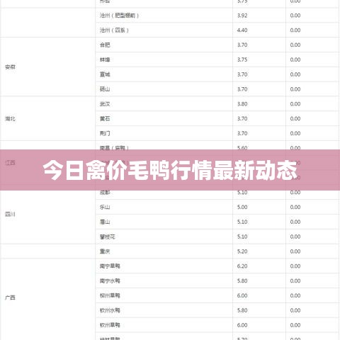 今日禽价毛鸭行情最新动态