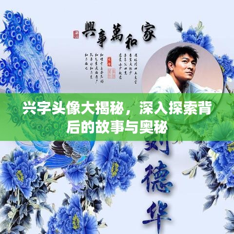 兴字头像大揭秘，深入探索背后的故事与奥秘