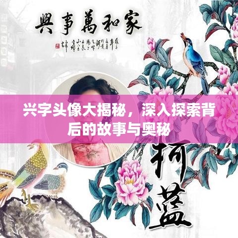 兴字头像大揭秘,深入探索背后的故事与奥秘