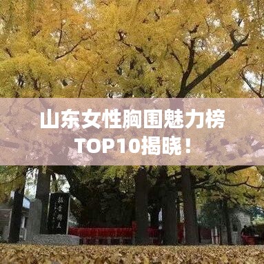 山东女性胸围魅力榜TOP10揭晓!