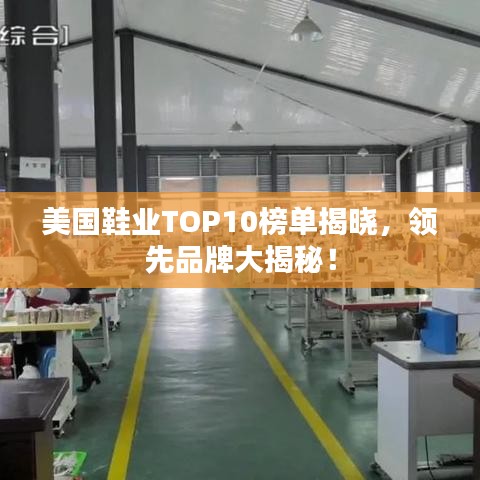 美国鞋业TOP10榜单揭晓,领先品牌大揭秘!