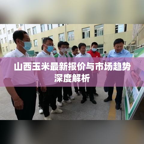 山西玉米最新报价与市场趋势深度解析