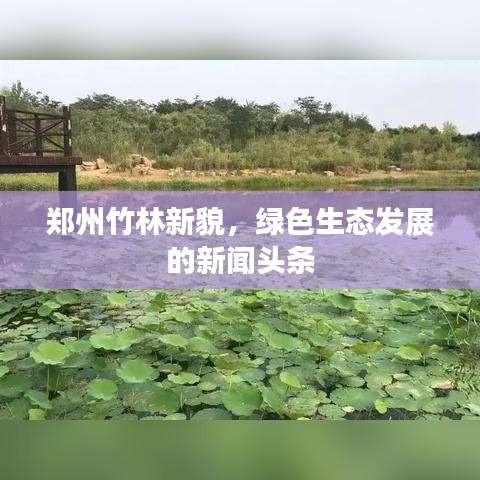 郑州竹林新貌,绿色生态发展的新闻头条