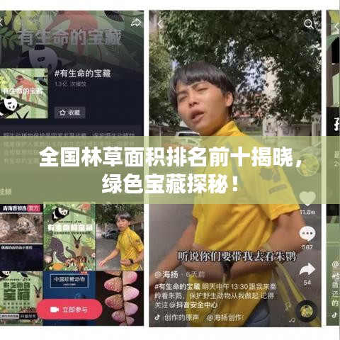 全国林草面积排名前十揭晓，绿色宝藏探秘！