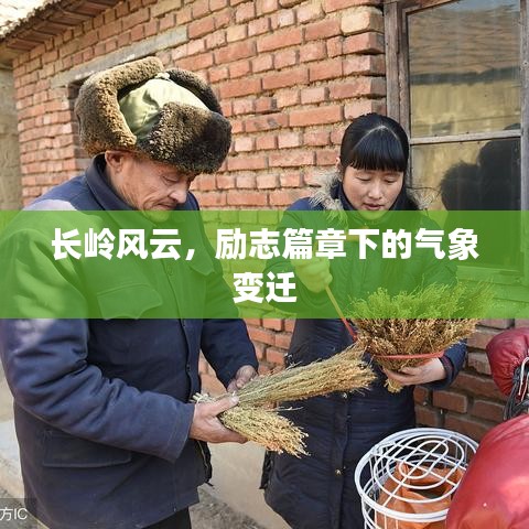 朴素无华 第5页