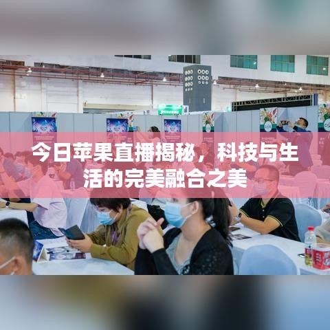 鸟面鹄形 第4页