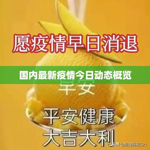 国内最新疫情今日动态概览