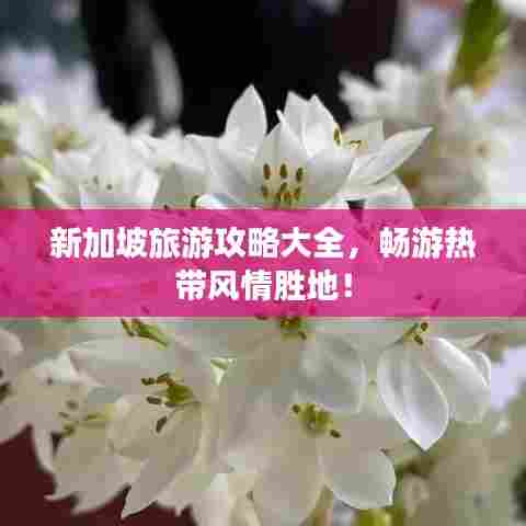 新加坡旅游攻略大全,畅游热带风情胜地!