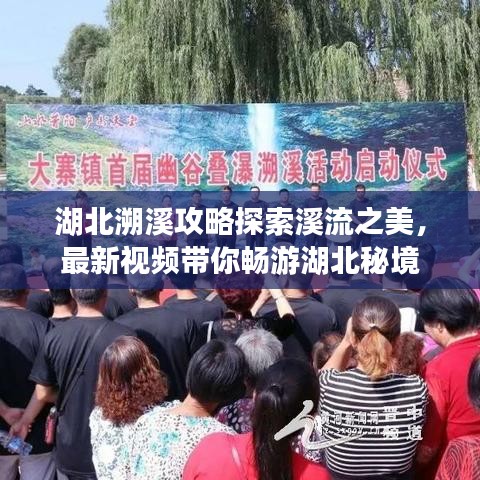 豪门贵胄 第3页