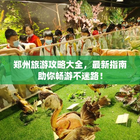 郑州旅游攻略大全,最新指南助你畅游不迷路!