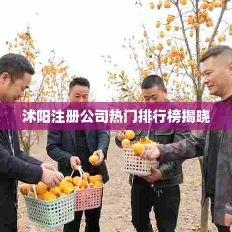 沭阳注册公司热门排行榜揭晓