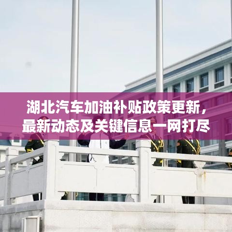 湖北汽车加油补贴政策更新,最新动态及关键信息一网打尽!