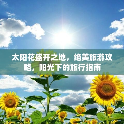 太阳花盛开之地,绝美旅游攻略,阳光下的旅行指南