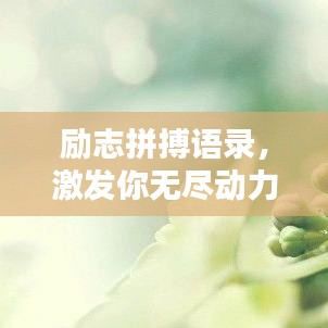 励志拼搏语录,激发你无尽动力!