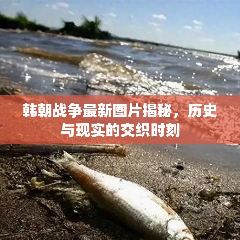 韩朝战争最新图片揭秘,历史与现实的交织时刻