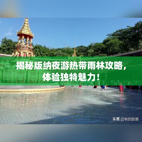 揭秘版纳夜游热带雨林攻略,体验独特魅力!