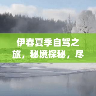 伊春夏季自驾之旅，秘境探秘，尽享自然盛宴