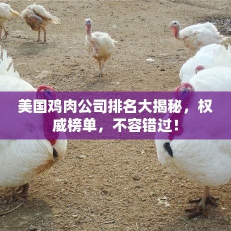 美国鸡肉公司排名大揭秘,权威榜单,不容错过!