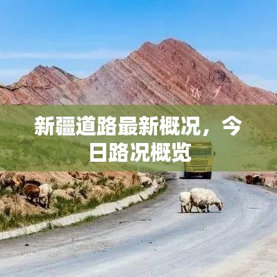 新疆道路最新概况,今日路况概览