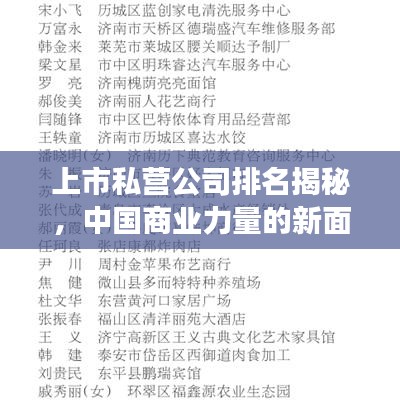 上市私营公司排名揭秘,中国商业力量的新面貌榜单重磅出炉!