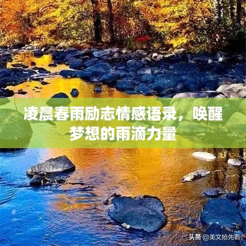 凌晨春雨励志情感语录,唤醒梦想的雨滴力量