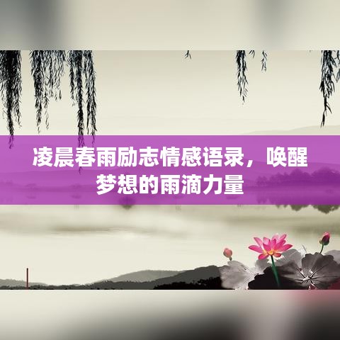 凌晨春雨励志情感语录,唤醒梦想的雨滴力量