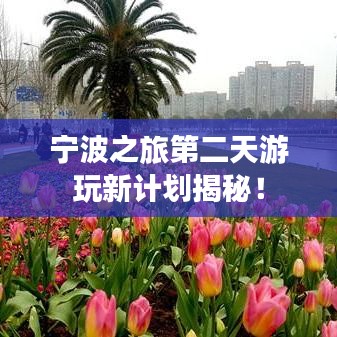 宁波之旅第二天游玩新计划揭秘!