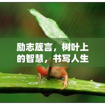 励志箴言,树叶上的智慧,书写人生的精彩篇章