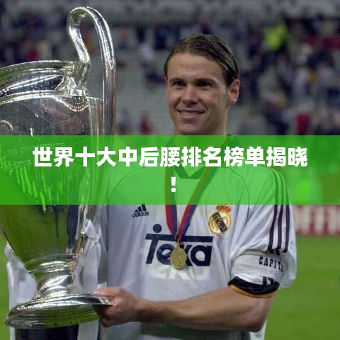 世界十大中后腰排名榜单揭晓!