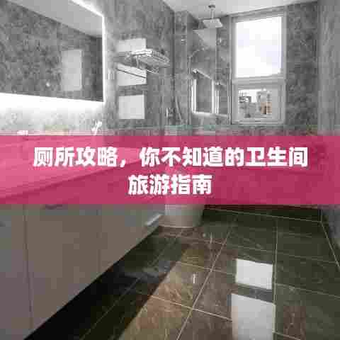 厕所攻略,你不知道的卫生间旅游指南