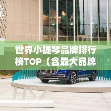 世界小提琴品牌排行榜TOP(含最大品牌)