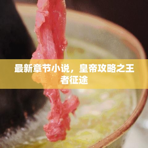 最新章节小说,皇帝攻略之王者征途