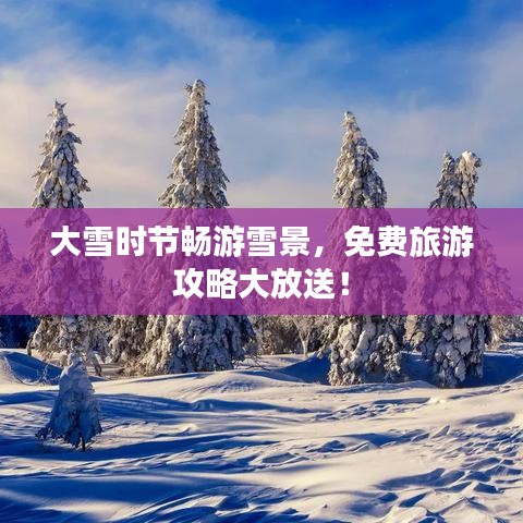 大雪时节畅游雪景,免费旅游攻略大放送!