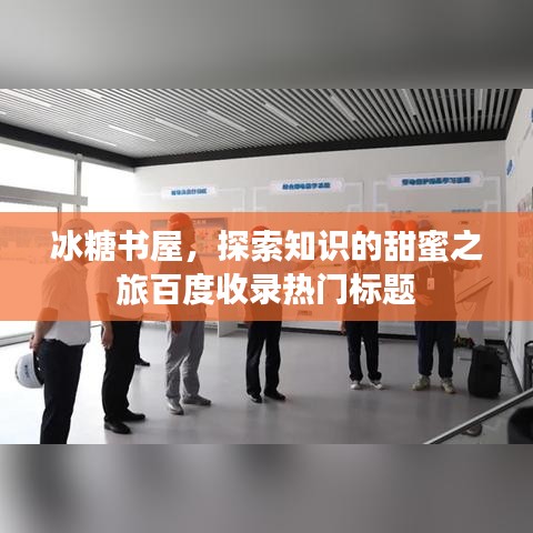 冰糖书屋,探索知识的甜蜜之旅百度收录热门标题