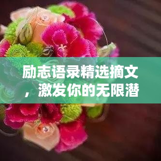 励志语录精选摘文,激发你的无限潜能!
