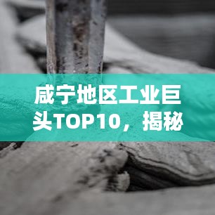 咸宁地区工业巨头TOP10,揭秘排名前十企业的风采