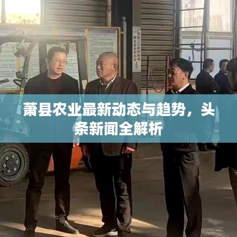 萧县农业最新动态与趋势,头条新闻全解析