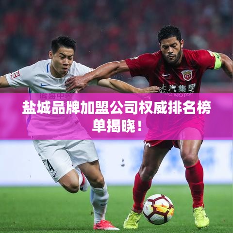 盐城品牌加盟公司权威排名榜单揭晓!